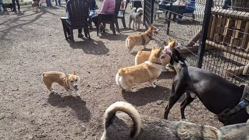 The Shacks Dining & Dog Park - The Colony, TX