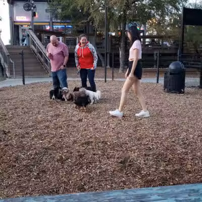 The Shacks Dining & Dog Park - The Colony, TX