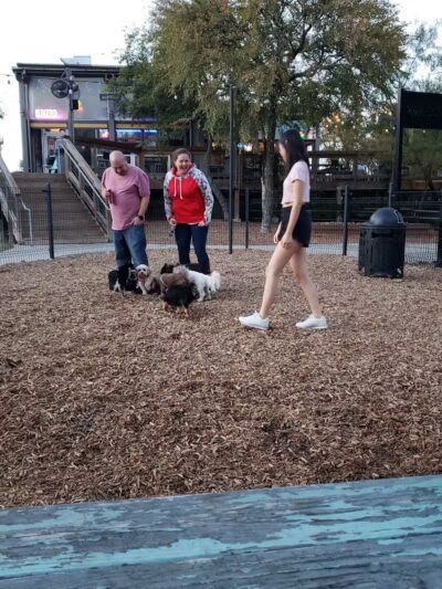 The Shacks Dining & Dog Park - The Colony, TX