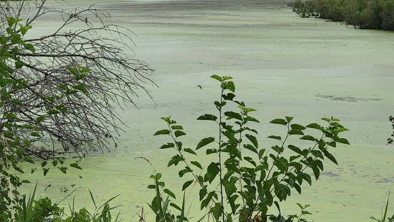 Thomson Causeway Recreation Area - Thomson, IL