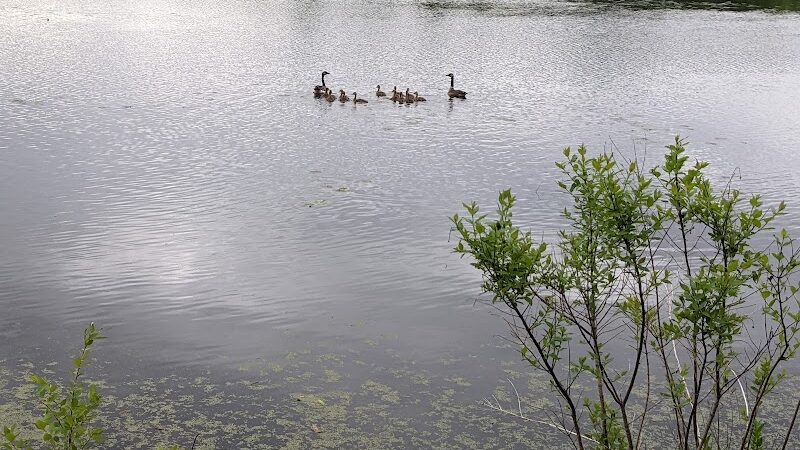Thomson Causeway Recreation Area - Thomson, IL