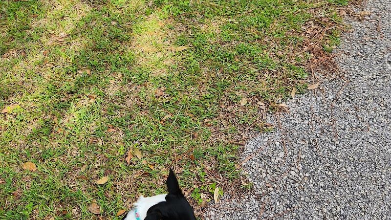 Branchton Park - Thonotosassa, FL