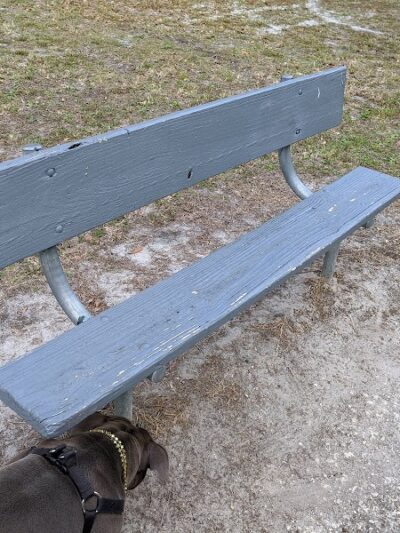 Branchton Park - Thonotosassa, FL