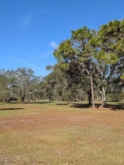 Branchton Park - Thonotosassa, FL