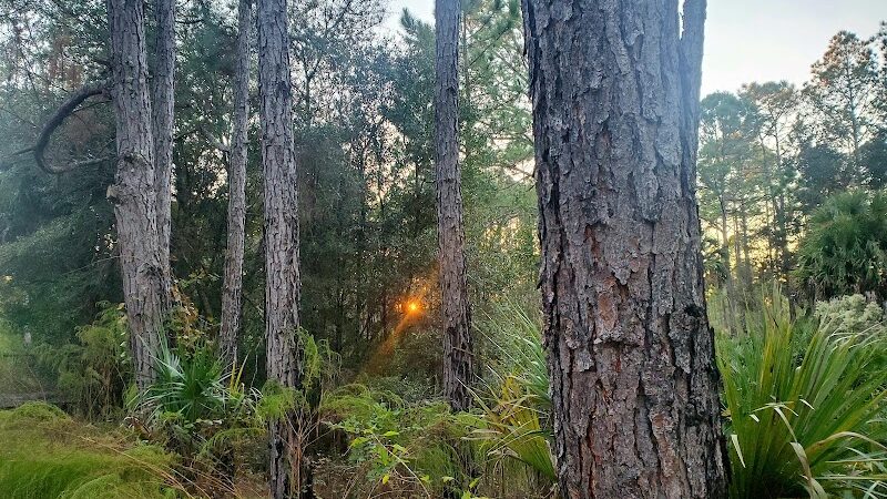 Flatwoods Park - Thonotosassa, FL