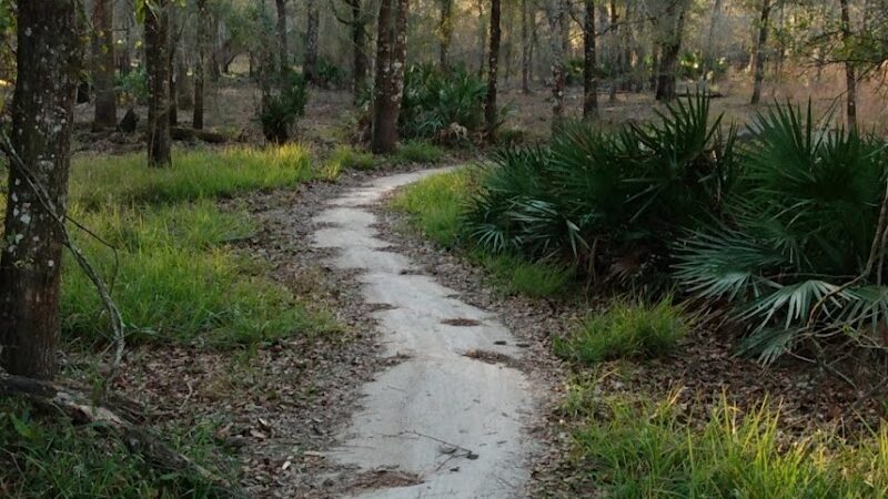 Flatwoods Park - Thonotosassa, FL