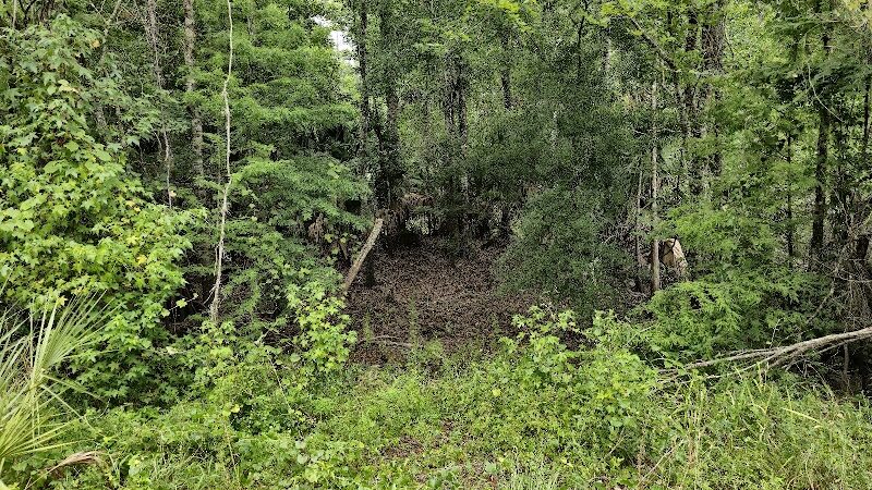 Flatwoods Park - Thonotosassa, FL