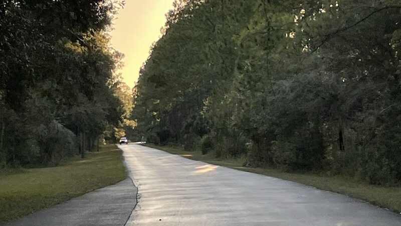 Flatwoods Park - Thonotosassa, FL