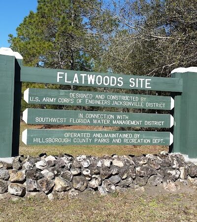 Flatwoods Park - Thonotosassa, FL