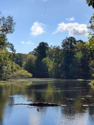 John B Sargeant Sr Park - Thonotosassa, FL