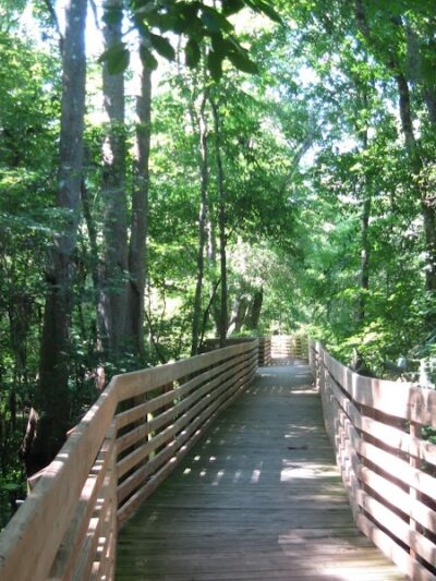 John B Sargeant Sr Park - Thonotosassa, FL