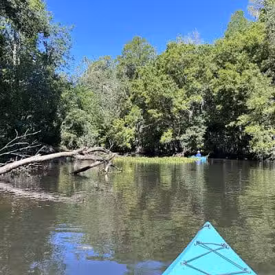 John B Sargeant Sr Park - Thonotosassa, FL