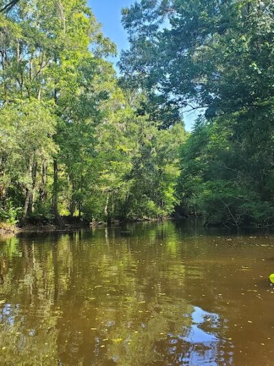 John B Sargeant Sr Park - Thonotosassa, FL