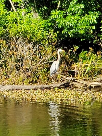 John B Sargeant Sr Park - Thonotosassa, FL