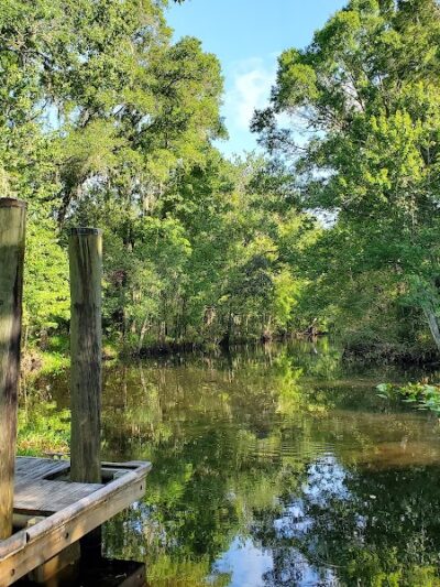John B Sargeant Sr Park - Thonotosassa, FL