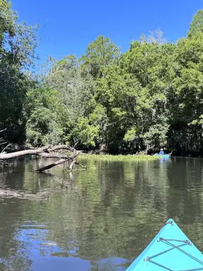 John B Sargeant Sr Park - Thonotosassa, FL