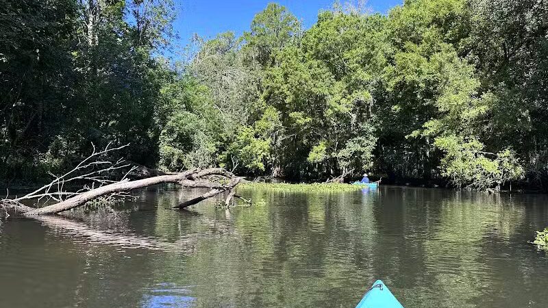 John B Sargeant Sr Park - Thonotosassa, FL
