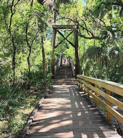 Lower Hillsborough Wildlife Management Area - Thonotosassa, FL