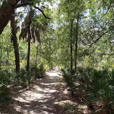 Lower Hillsborough Wildlife Management Area - Thonotosassa, FL