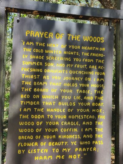 Lower Hillsborough Wildlife Management Area - Thonotosassa, FL