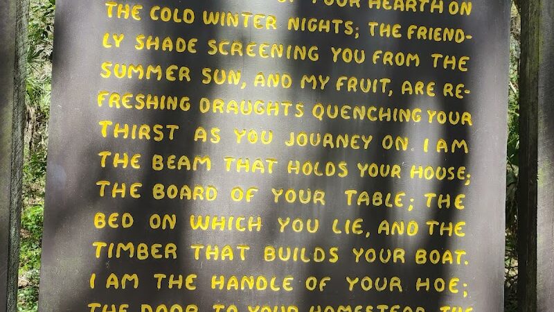 Lower Hillsborough Wildlife Management Area - Thonotosassa, FL