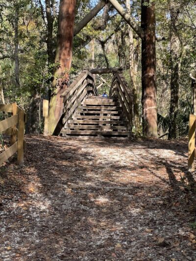 Lower Hillsborough Wildlife Management Area - Thonotosassa, FL
