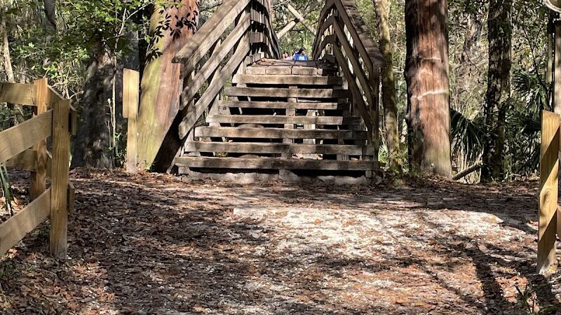 Lower Hillsborough Wildlife Management Area - Thonotosassa, FL