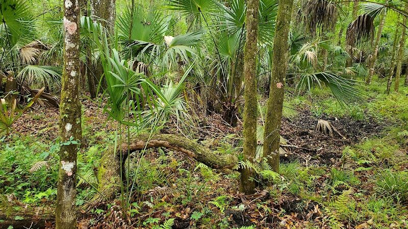 Lower Hillsborough Wildlife Management Area - Thonotosassa, FL