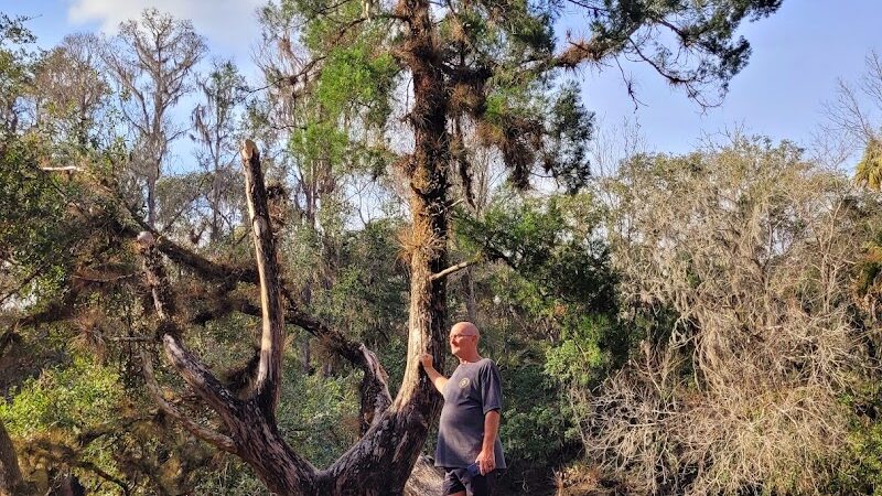 Lower Hillsborough Wildlife Management Area - Thonotosassa, FL