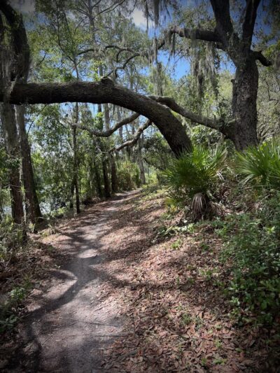 Wilderness Conservation Park - Trout Creek Site - Thonotosassa, FL