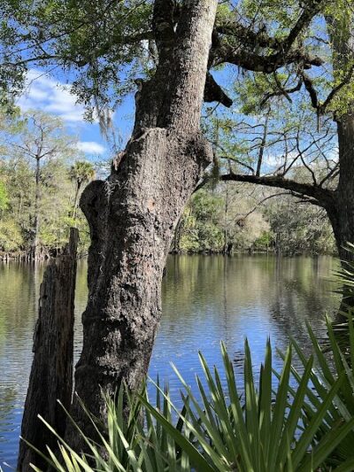 Wilderness Conservation Park - Trout Creek Site - Thonotosassa, FL