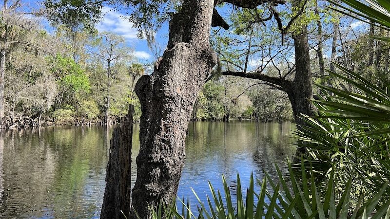 Wilderness Conservation Park - Trout Creek Site - Thonotosassa, FL