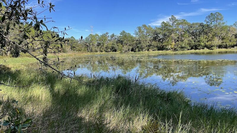 Wilderness Conservation Park - Trout Creek Site - Thonotosassa, FL