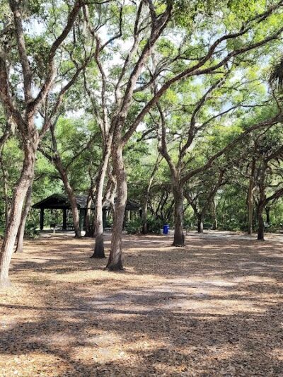 Wilderness Conservation Park - Trout Creek Site - Thonotosassa, FL