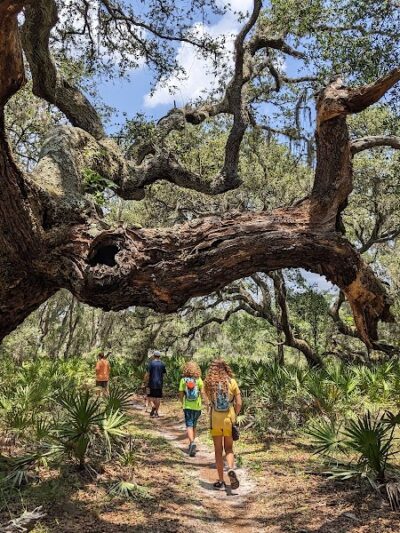 Wilderness Conservation Park - Trout Creek Site - Thonotosassa, FL
