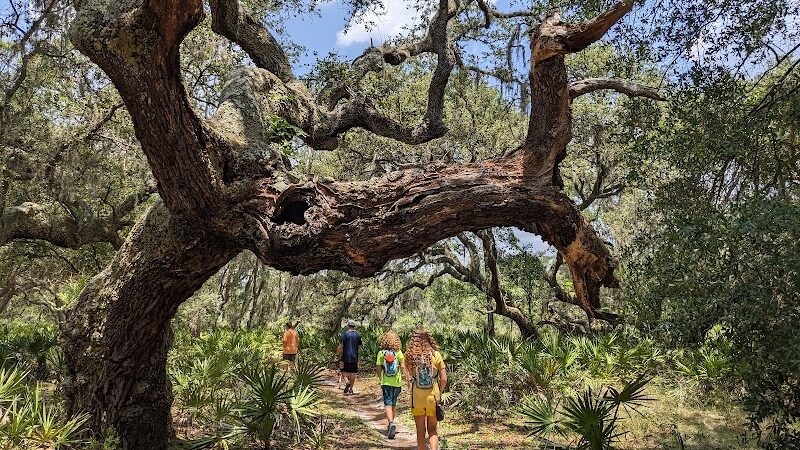 Wilderness Conservation Park - Trout Creek Site - Thonotosassa, FL