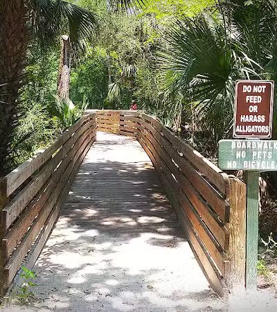 Wilderness Conservation Park - Trout Creek Site - Thonotosassa, FL