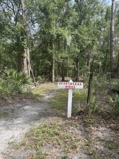 Wilderness park - Thonotosassa, FL