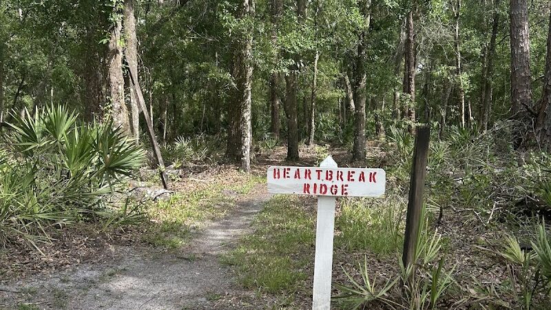 Wilderness park - Thonotosassa, FL