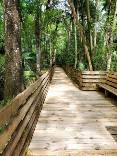 Wilderness park - Thonotosassa, FL