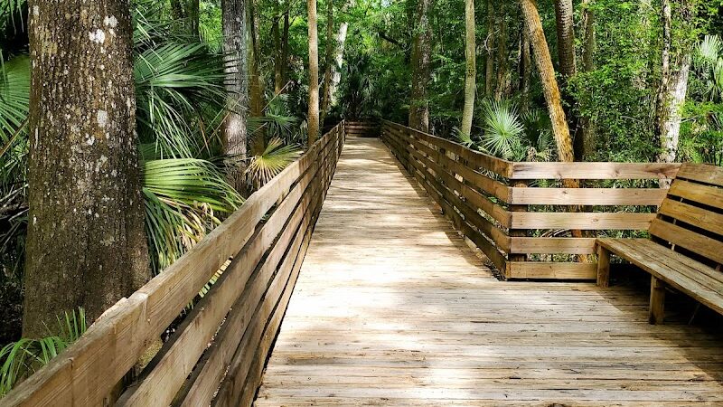 Wilderness park - Thonotosassa, FL