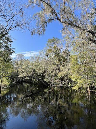 Wilderness park - Thonotosassa, FL