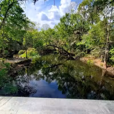 Wilderness park - Thonotosassa, FL