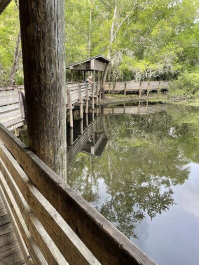 Wilderness park - Thonotosassa, FL