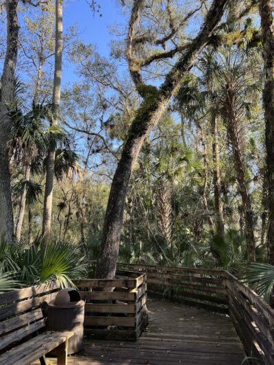 Wilderness park - Thonotosassa, FL