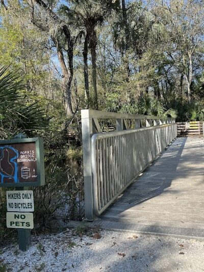 Wilderness park - Thonotosassa, FL