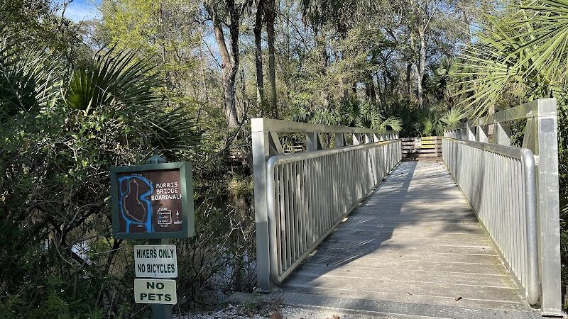 Wilderness park - Thonotosassa, FL