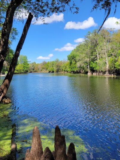 Wilderness Park Trout Creek Site - Thonotosassa, FL