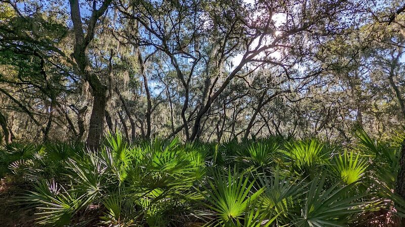 Wilderness Park Trout Creek Site - Thonotosassa, FL