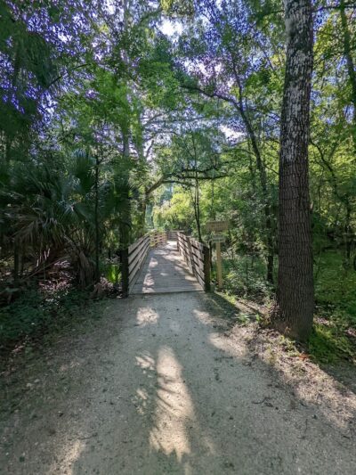 Wilderness Park Trout Creek Site - Thonotosassa, FL